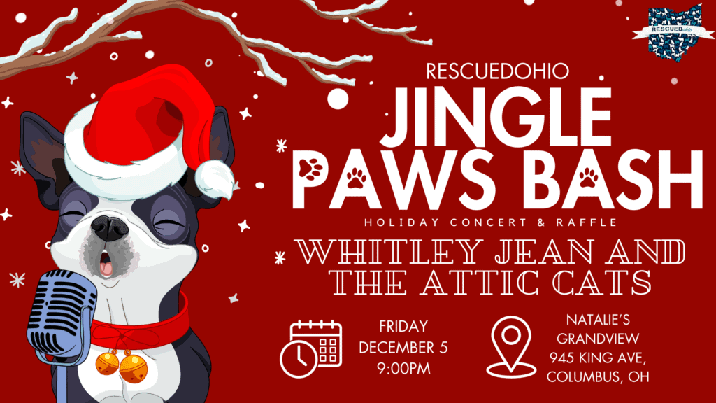 Jingle Paws Bash (1)